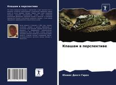 Portada del libro de Кпашам в перспективе