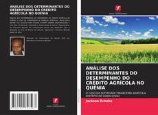 ANÁLISE DOS DETERMINANTES DO DESEMPENHO DO CRÉDITO AGRÍCOLA NO QUÉNIA kitap kapağı