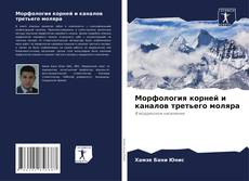 Bookcover of Морфология корней и каналов третьего моляра