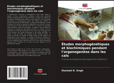 Buchcover von Études morphogénétiques et biochimiques pendant l'organogenèse dans les cals