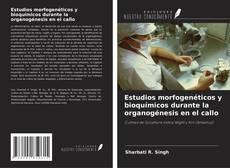 Buchcover von Estudios morfogenéticos y bioquímicos durante la organogénesis en el callo