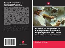Bookcover of Estudos Morfogenéticos e Bioquímicos durante a Organogénese em Callus