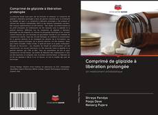 Bookcover of Comprimé de glipizide à libération prolongée