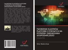 Buchcover von TWORZENIE KLASTRÓW PLATFORM CYFROWYCH NA POTRZEBY ZARZĄDZANIA GOSPODARCZEGO