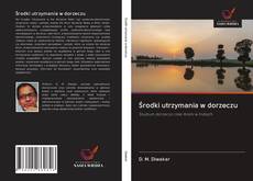 Buchcover von Środki utrzymania w dorzeczu