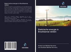 Buchcover von Elektrische energie in Braziliaanse velden
