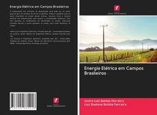 Capa do livro de Energia Elétrica em Campos Brasileiros 
