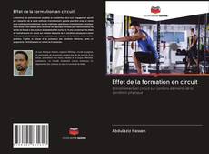 Bookcover of Effet de la formation en circuit