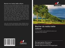 Bookcover of Biochar da residui delle colture