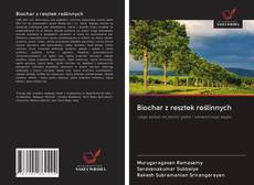 Buchcover von Biochar z resztek roślinnych