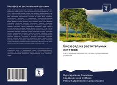 Buchcover von Биозаряд из растительных остатков