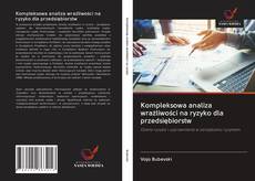 Buchcover von Kompleksowa analiza wrażliwości na ryzyko dla przedsiębiorstw