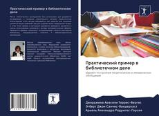 Bookcover of Практический пример в библиотечном деле