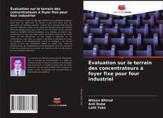 Bookcover of Évaluation sur le terrain des concentrateurs à foyer fixe pour four industriel