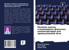 Bookcover of Полевая оценка стационарных фокусных концентраторов для промышленной печи