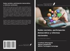 Bookcover of Redes sociales, participación democrática y reformas nacionales