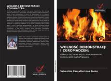 Bookcover of WOLNOŚĆ DEMONSTRACJI I ZGROMADZEŃ:
