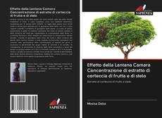 Bookcover of Effetto della Lantana Camara Concentrazione di estratto di corteccia di frutta e di stelo