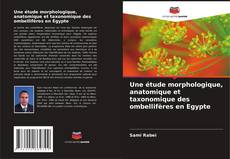 Une étude morphologique, anatomique et taxonomique des ombellifères en Egypte的封面