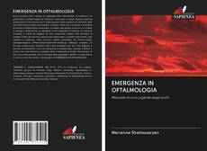 Bookcover of EMERGENZA IN OFTALMOLOGIA