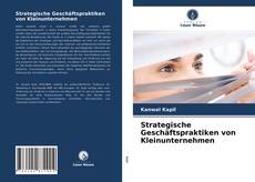 Copertina di Strategische Geschäftspraktiken von Kleinunternehmen