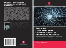 Bookcover of ÉTUDE DE L'ARCHITECTURE OSSEUSE DANS LES DÉFAUTS PLANTAIRES