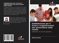 Soddisfazione per il lavoro e organizzazioni non governative nello Yemen的封面