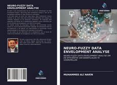 Copertina di NEURO-FUZZY DATA ENVELOPMENT ANALYSE