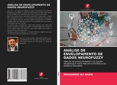 ANÁLISE DE ENVELOPAMENTO DE DADOS NEUROFUZZY kitap kapağı
