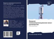 Вводное телекоммуникационное мини-руководство kitap kapağı