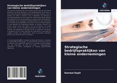 Copertina di Strategische bedrijfspraktijken van kleine ondernemingen