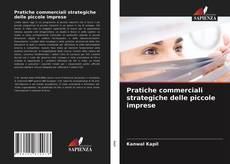 Pratiche commerciali strategiche delle piccole imprese的封面