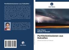 Bookcover of Partikelemissionen aus Koksöfen