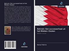 Bahrein: Een succesverhaal uit het Midden-Oosten的封面