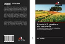 Copertina di Esplorare il carattere del paesaggio