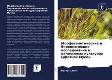 Buchcover von Морфогенетические и биохимические исследования в каллусовых культурах Цфатной Мусли