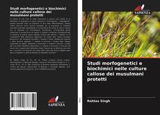 Bookcover of Studi morfogenetici e biochimici nelle culture callose dei musulmani protetti