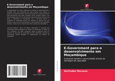 E-Government para o desenvolvimento em Moçambique kitap kapağı