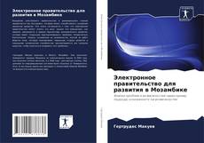 Buchcover von Электронное правительство для развития в Мозамбике