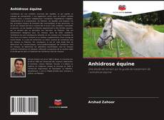 Buchcover von Anhidrose équine