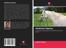 Capa do livro de Anidrose Equina 