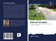 Конский ангидроз的封面