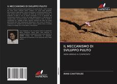 Bookcover of IL MECCANISMO DI SVILUPPO PULITO