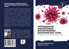 Borítókép a  ПОТЕНЦИАЛЫ ФИОЛЕТОВЫХ ФОТОТРОФНЫХ БАКТЕРИЙ БЕЗ СЕРЫ - hoz