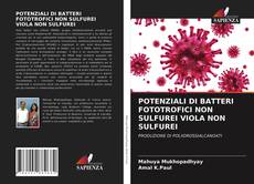 POTENZIALI DI BATTERI FOTOTROFICI NON SULFUREI VIOLA NON SULFUREI的封面