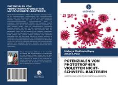 Copertina di POTENZIALEN VON PHOTOTROPHEN VIOLETTEN NICHT-SCHWEFEL-BAKTERIEN