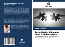 Europäische Union und neue Mitgliedstaaten kitap kapağı