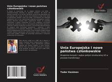 Buchcover von Unia Europejska i nowe państwa członkowskie