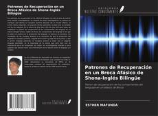 Buchcover von Patrones de Recuperación en un Broca Afásico de Shona-Inglés Bilingüe