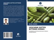 Buchcover von GESCHENK GOTTES BITTERER KÜRBIS